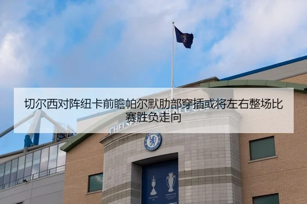 切尔西对阵纽卡前瞻帕尔默肋部穿插或将左右整场比赛胜负走向